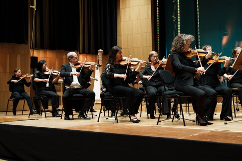 Musiker:innen des Tiroler Symphonieorchesters Innsbruck